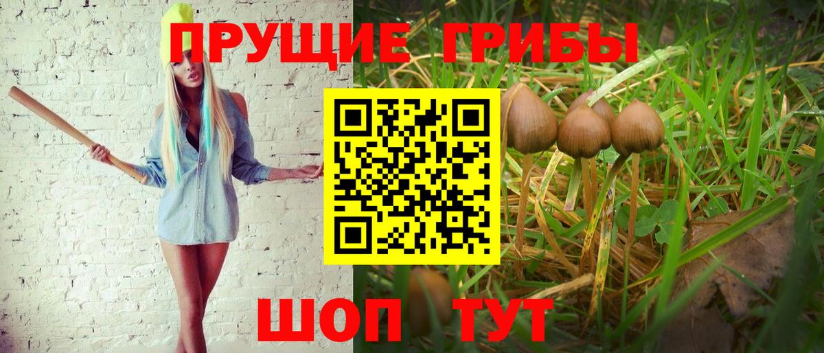Улан-Удэ  Галлюциногенные грибы прущие грибы  Вход с VPN 